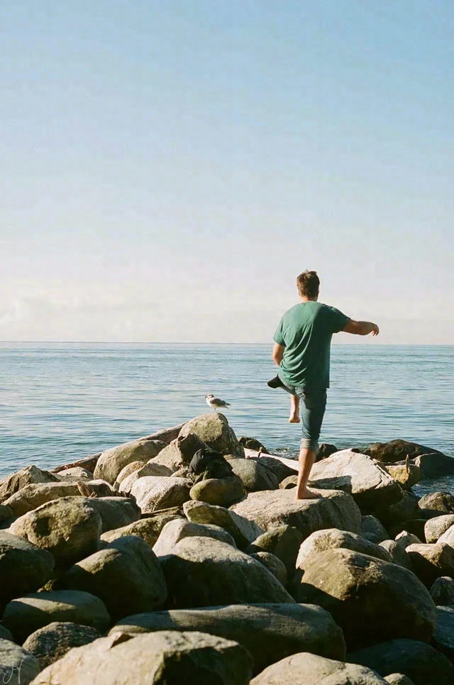 A barefoot person in a green shirt steps between shoreline rocks beside a bird and calm water.