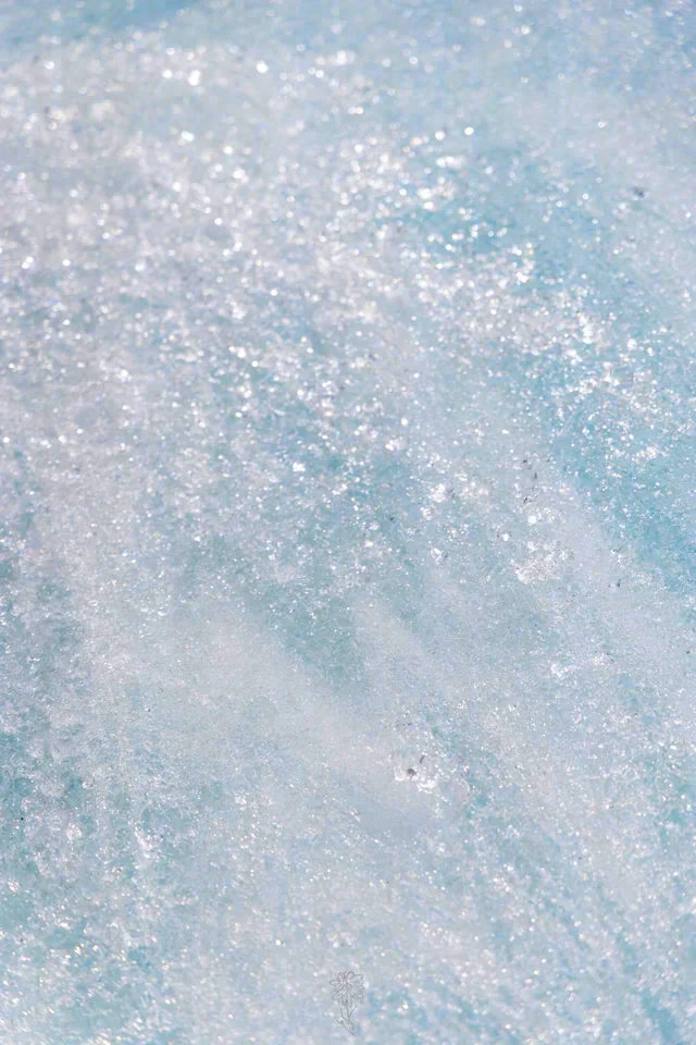 A pale blue textured surface is scattered with small white and pink highlights.